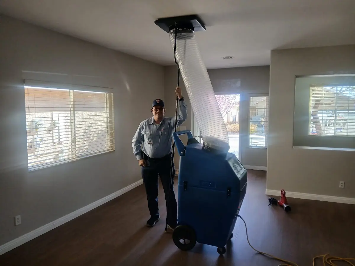 Professional Dryer Vent Cleaning work inside a Cedar Park home